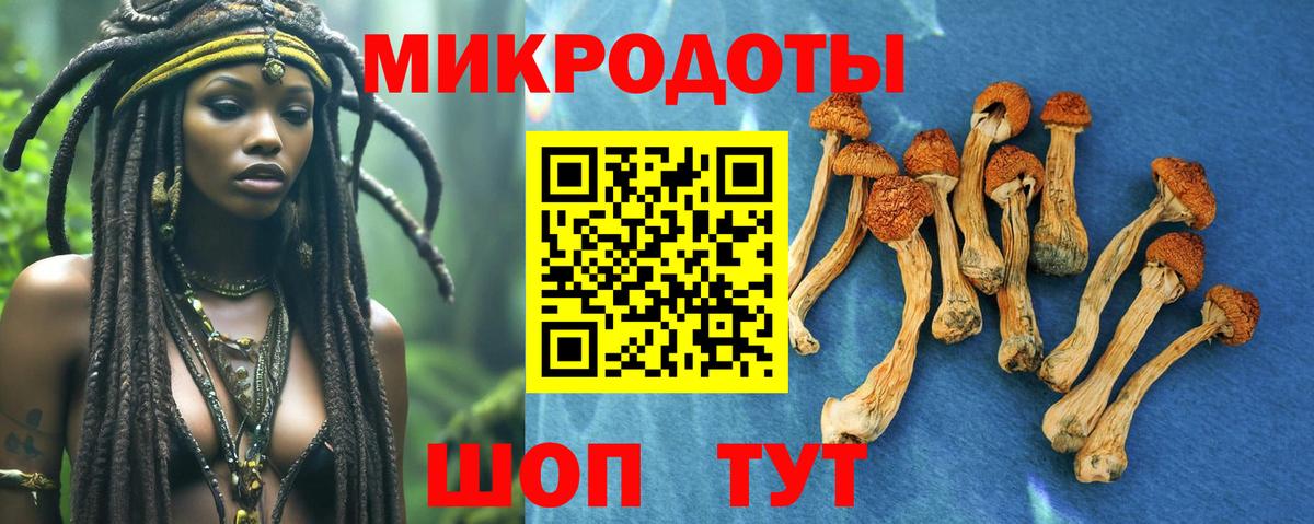 Богородск  Псилоцибиновые грибы GOLDEN TEACHER  Вход с VPN 